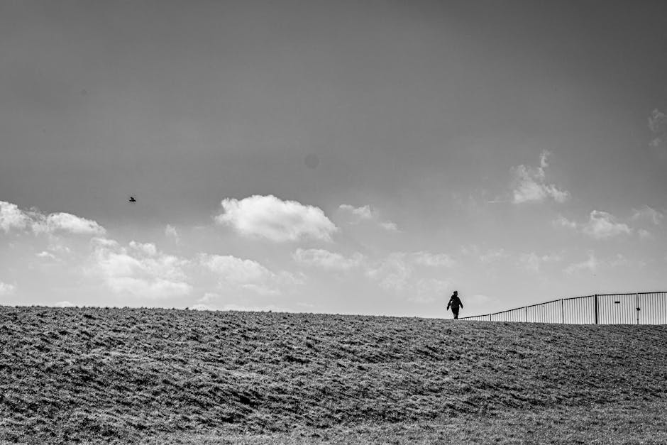 Person on horizon representing vast support possibilities